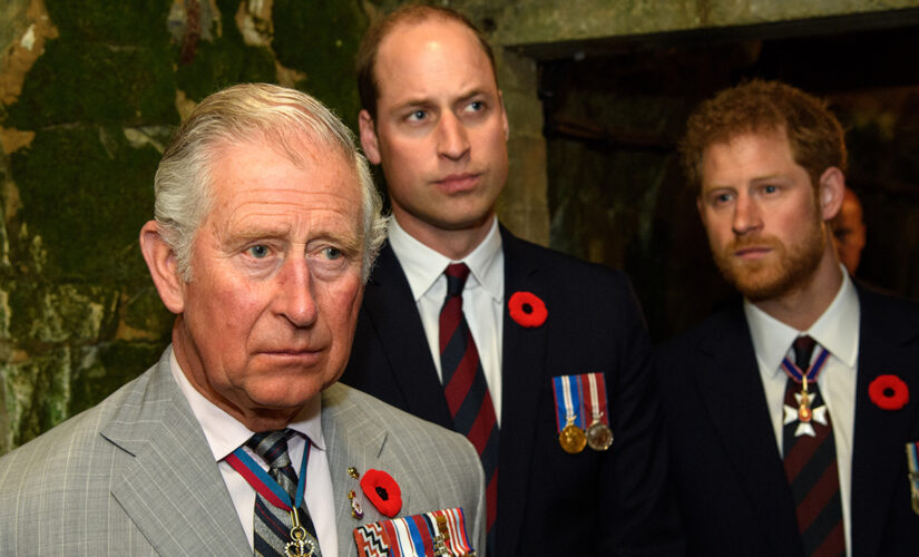 Prince Charles praises sons Prince Harry, Prince William in new essay about climate change: ‘I am proud’