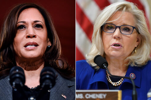 Kamala Harris praises Republican Liz Cheney's 'courage to speak truth'