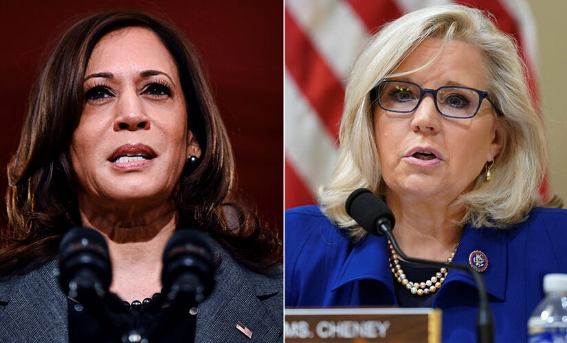 Kamala Harris praises Republican Liz Cheney&apos;s &apos;courage to speak truth&apos;