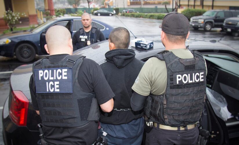 Biden administration still to release long-awaited ICE report on arrests, deportations of illegal immigrants