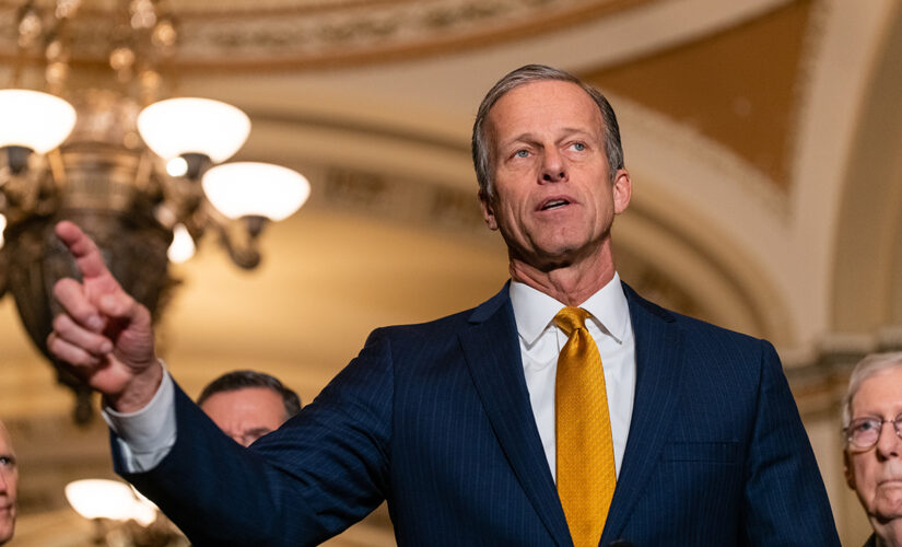 Thune says top GOP priority must be taking back Senate, blocking Dems’ ‘crazy radical agenda’