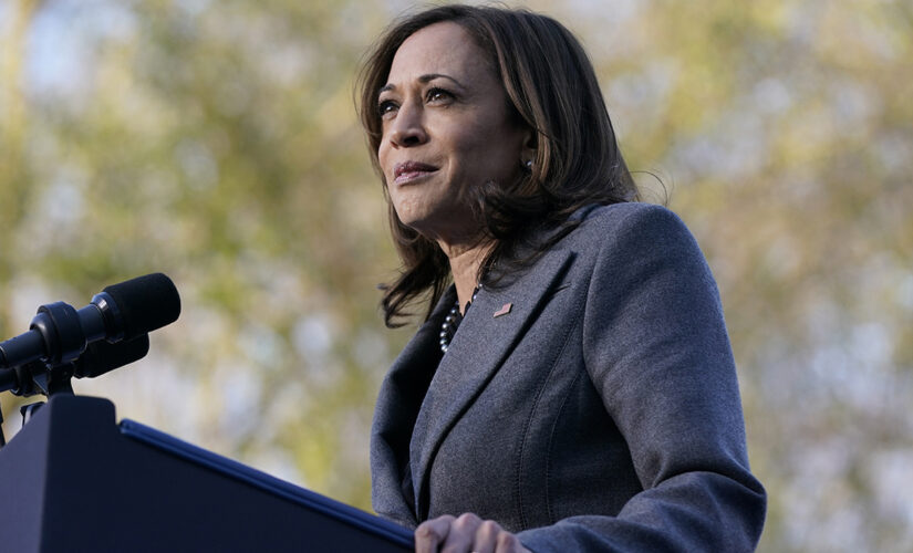 White House official corrects Harris claim that COVID-19 tests will be sent by next week