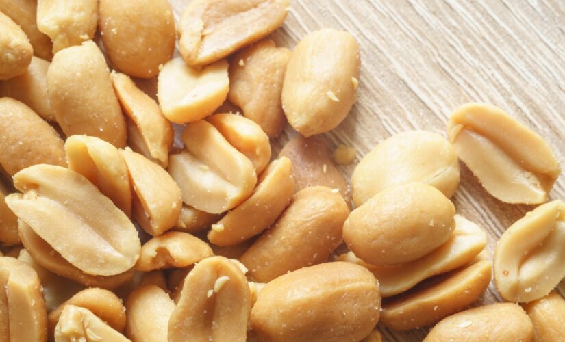 Peanut allergy could be tamed in some kids using oral immunotherapy: study
