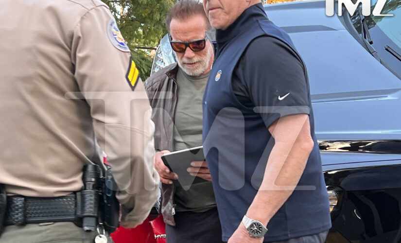 Arnold Schwarzenegger involved in car accident