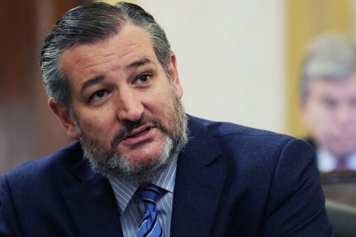 Top FBI official dodges when Cruz asks if agents participated in Jan. 6 riot