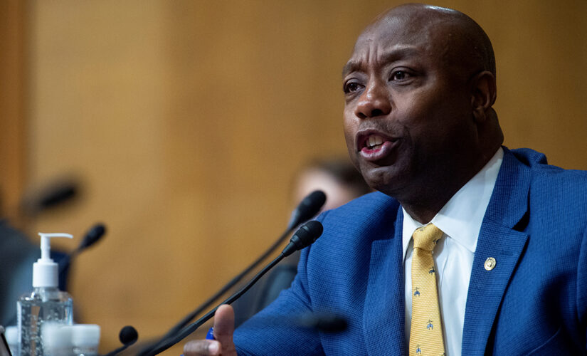 Sen. Scott: Biden’s Jim Crow comments evidence of ‘failed leadership’