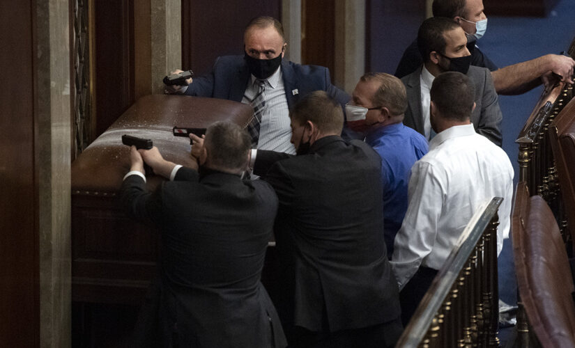 Rep. Troy Nehls reflects on protecting House chamber on Jan. 6 with makeshift weapon: &apos;I refused to leave&apos;