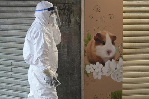 Hong Kong to kill 2,000 animals after several hamsters test positive for COVID-19