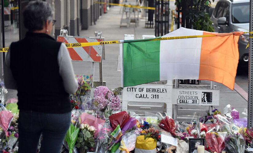 Aoife Beary, a survivor of 2015 Berkeley balcony collapse, dead at 27: report