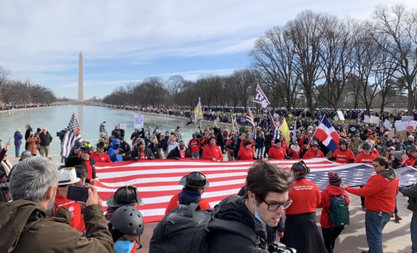 Washington DC ‘Defeat the Mandates’ march calls for end to ‘draconian’ COVID-19 vaccine requirements