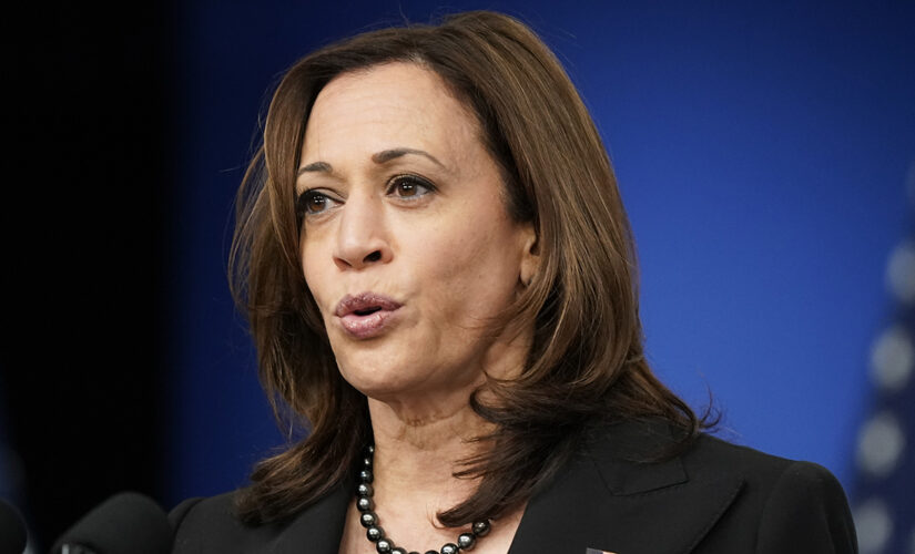 VP Harris&apos; new comms director suggested Biden &apos;Dazed and confused,&apos; slammed Trump for &apos;janky science vaccine&apos;