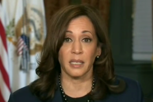 Harris says White House will lean on previous executive order on election laws after bills failed in Senate