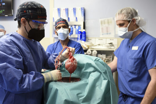 Man gets genetically altered pig’s heart transplant in first-of-its-kind procedure