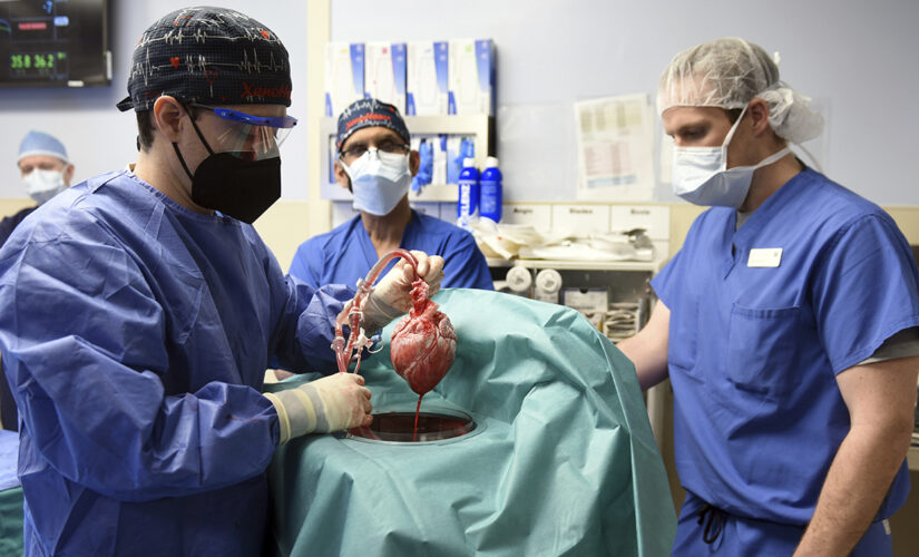 Man gets genetically altered pig’s heart transplant in first-of-its-kind procedure