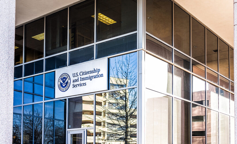 DHS OIG finds visa program for crime victims marred by fraud, mismanagement