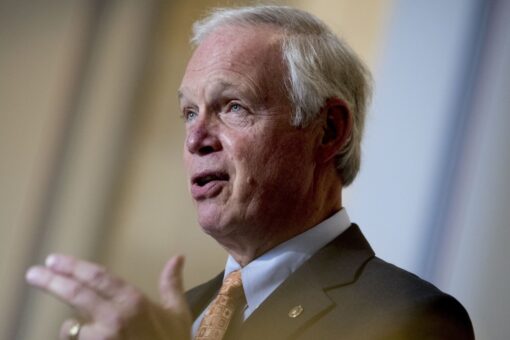 Ron Johnson says he is running for reelection because of ‘destructive’ Dem governance: ‘I can’t walk away’