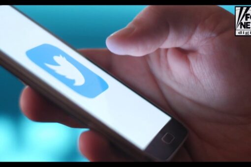 Google, Twitter employees flood Democrats with donations as companies are accused of censoring conservatives