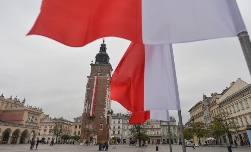 Polish diplomat fired after calling Holocaust law ‘stupid’