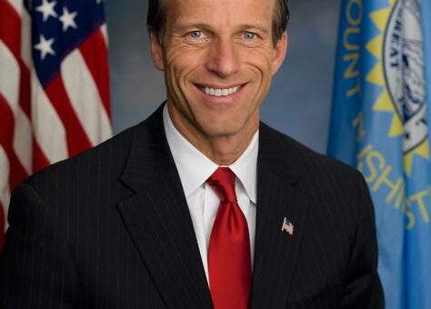 South Dakota Sen. John Thune to run for reelection