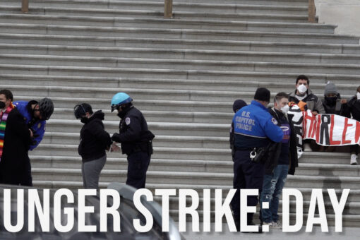 HUNGER STRIKE DAY 6: Activists ‘escalate’ action, arrested on US Capitol steps