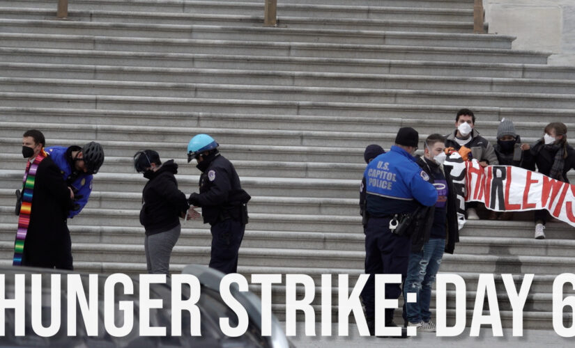 HUNGER STRIKE DAY 6: Activists ‘escalate’ action, arrested on US Capitol steps