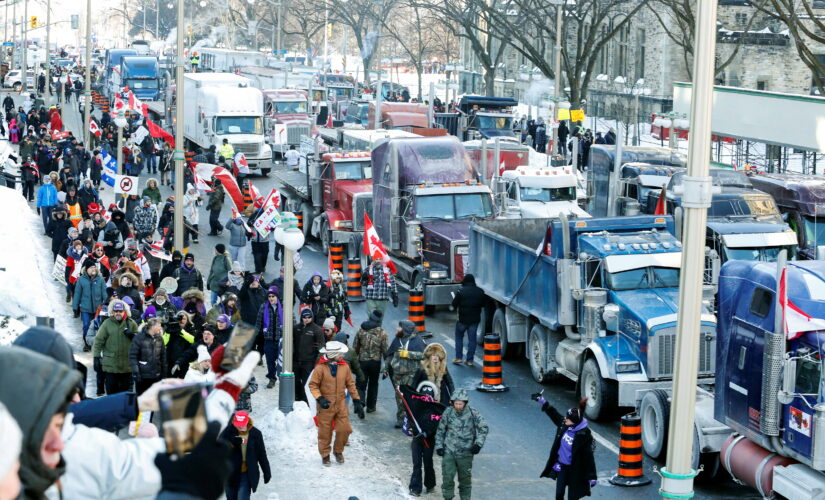 Freedom Convoy leader Tamara Lich arrested by Canadian police