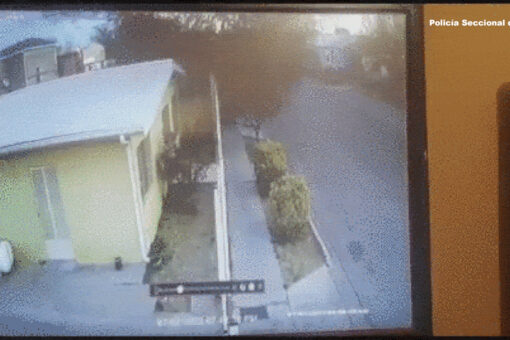 Viral video showing birds crashing into ground in Mexico stirs theories