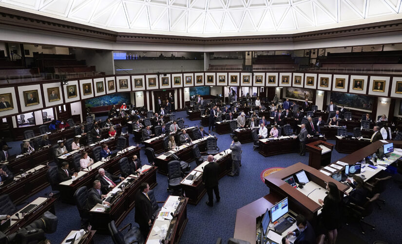 Florida House passes 15-week abortion ban, advances to Senate