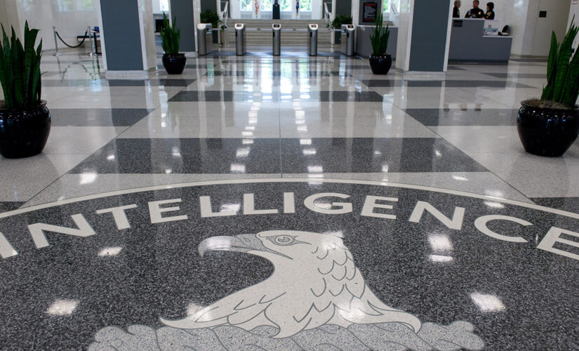 CIA has been secretly collecting data on Americans in bulk, senators say