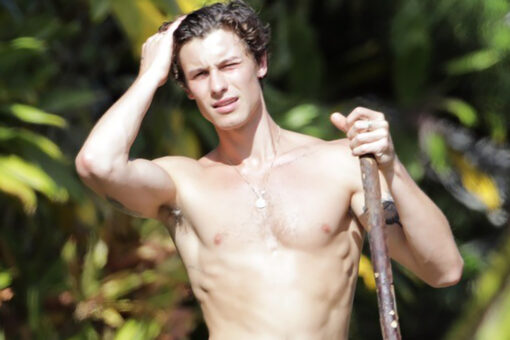 Shawn Mendes shows off physique during shirtless Hawaii stroll
