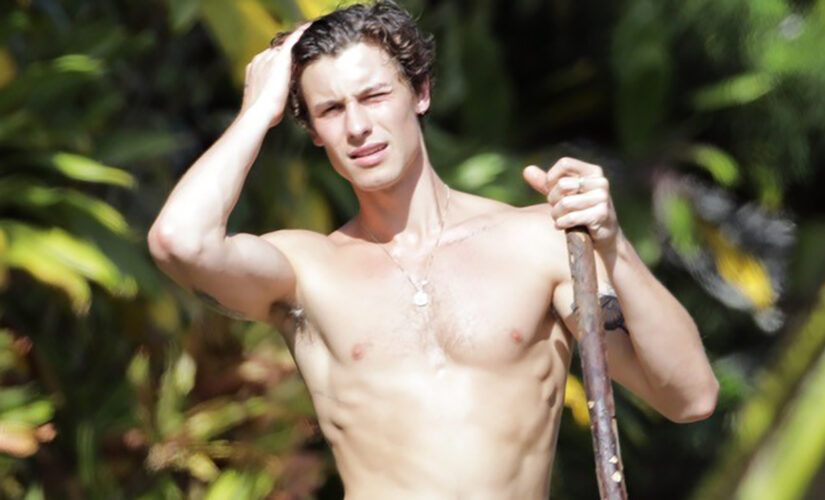 Shawn Mendes shows off physique during shirtless Hawaii stroll