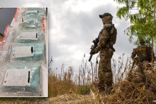 Mexico now the ‘dominant source’ for fentanyl in US, mainly comes through southern border, report finds
