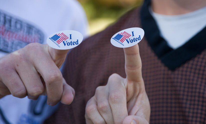 Texas judge halts part of new election law ahead of early voting