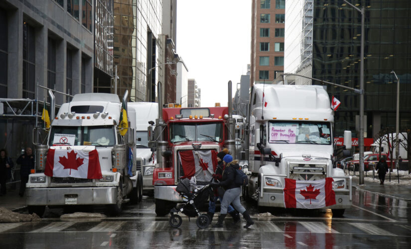 Canadian Freedom Convoy organizer arrested in Ottawa