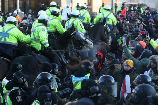 Ontario police watchdog opens investigation into woman reportedly trampled by mounted officer