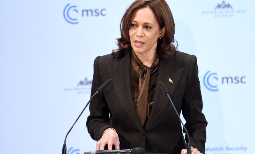 Kamala Harris says Russia will suffer significant economic costs if it invades Ukraine: ‘Swift and severe’