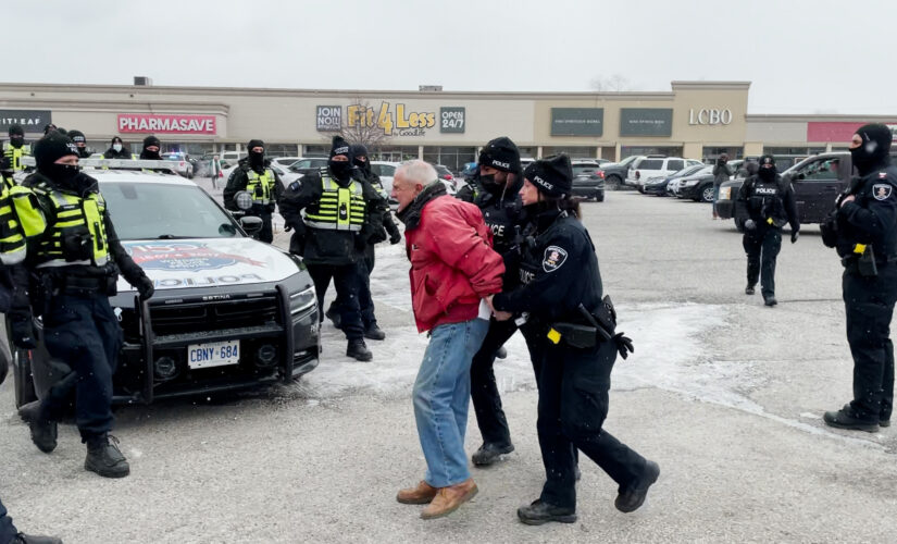 ‘This is Canada it’s supposed to be a free country’, bridge blockade protesters speak out after police move in