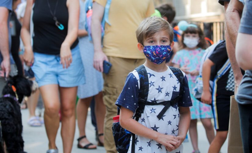 Democratic state, city leaders split on COVID mandates as country recovers from pandemic