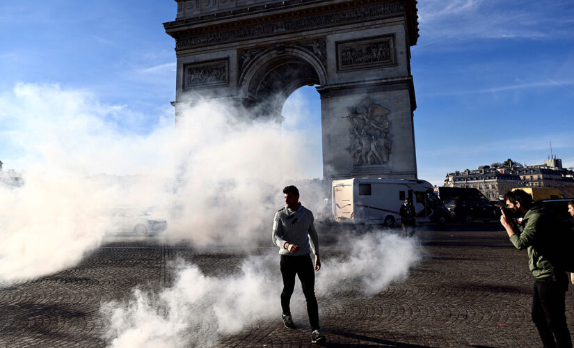 Paris police use tear gas against protesters inspired by Canadian ‘Freedom Convoy’