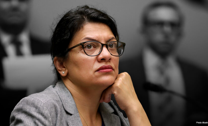 Tlaib has paid out $170,000 to firm of anti-Israel activist who supports defunding the police