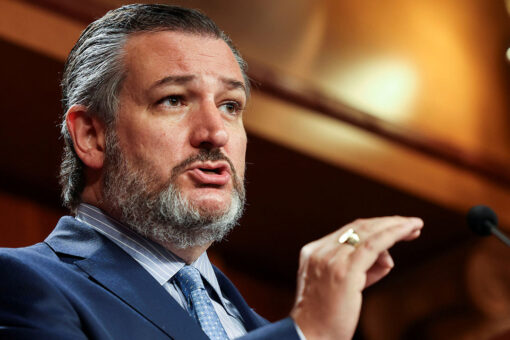 Ted Cruz asks if civil liberties groups will support Canadian freedom truckers as they clash with police