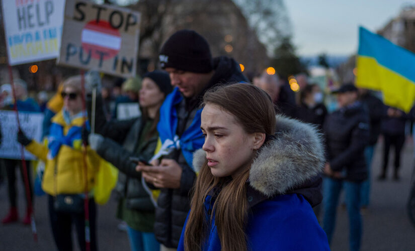 Biden admin facing calls to give Ukrainians in US protections from deportation