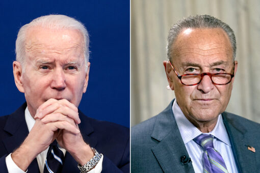 Anonymous Democratic senator calls White House strategy on Build Back Better ‘idiotic’