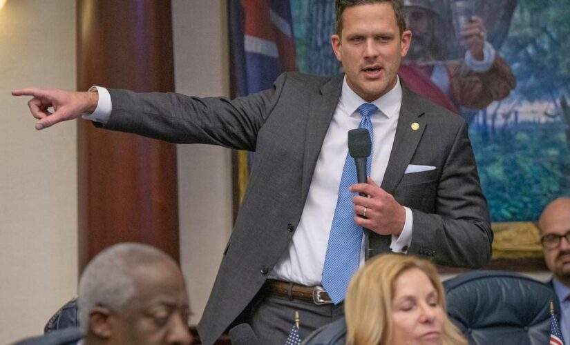 Sponsor of Florida’s so-called ‘Don’t Say Gay’ bill defends it against media ‘disinformation’ narrative