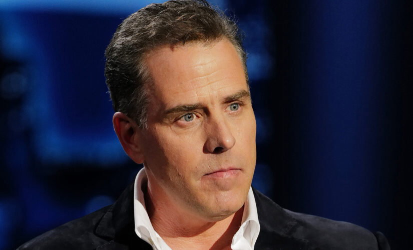 Mother of Hunter Biden’s child testifies in financial investigation