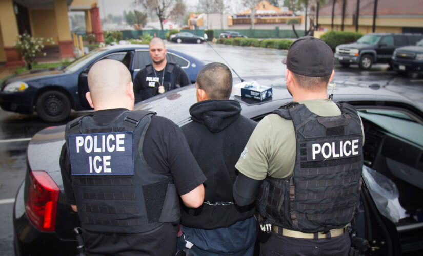 Illegal immigrant who allegedly drew swastikas in DC Union Station won’t be deported: ICE