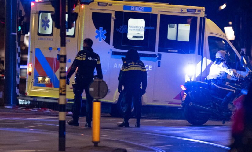 Armed hostage taker in Amsterdam Apple store run over by police