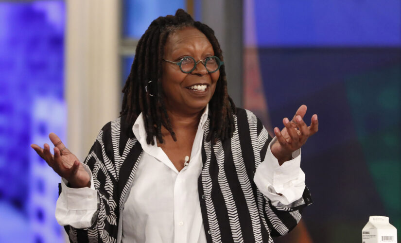 Whoopi Goldberg’s 1993 recipe, ‘Jewish American Princess Fried Chicken,’ for charity cookbook resurfaces