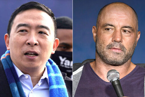 Andrew Yang tweets Joe Rogan is ‘not racist,’ before deleting it because it ‘hurt people’