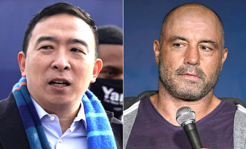 Andrew Yang tweets Joe Rogan is ‘not racist,’ before deleting it because it ‘hurt people’